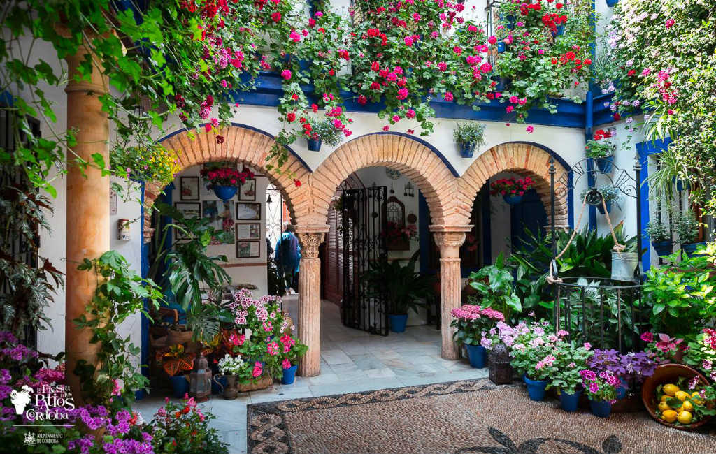 De Fiesta de Patios in Córdoba