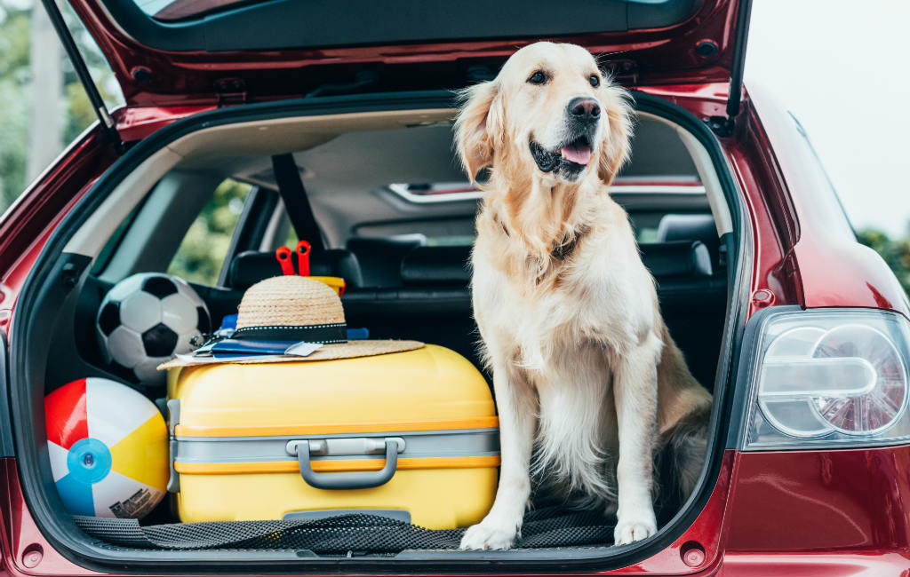 Huidsieren mee op vakantie naar Spanje