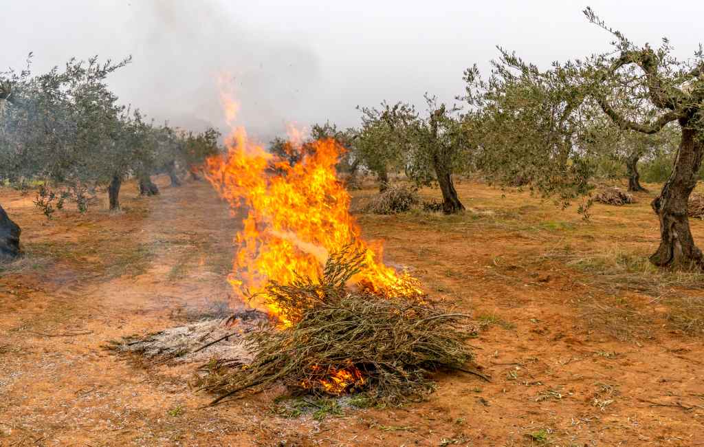 Het verbranden van snoei- en landbouwresten in Spanje