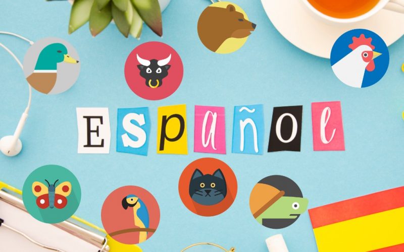 Spaanse uitdrukkingen met dieren