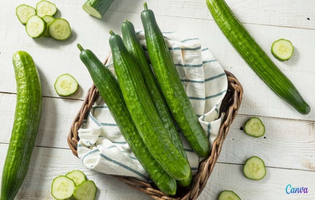 Waarom heet de bekendste komkommer in Spanje ‘pepino holandés’?